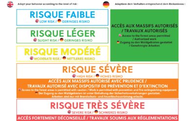 VIGILANCE INCENDIE FORETS